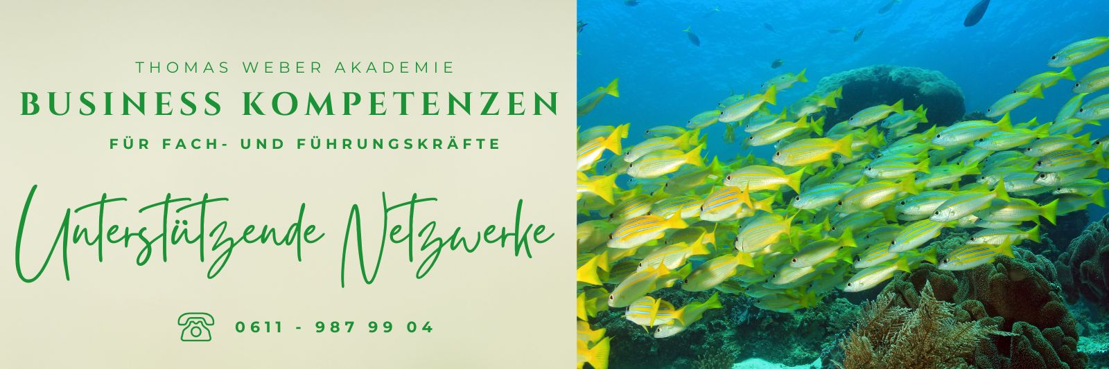 Das Netzwerk der Business Akademie in Frankfurt